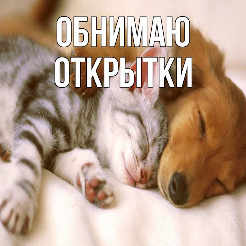 Картинка Обнимаю, открытки