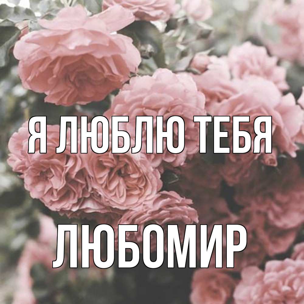 Открытка  с именем. Любомир, Я люблю тебя  