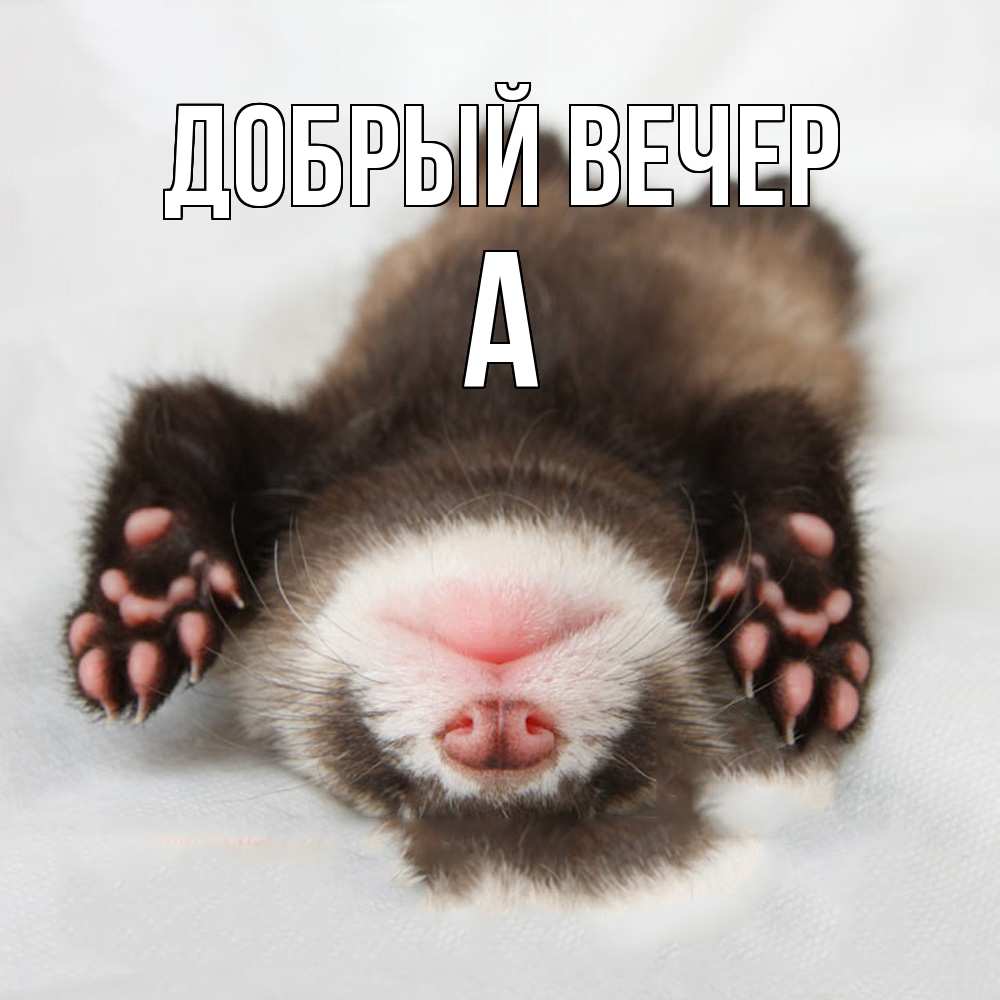 Открытка  с именем. а, Добрый вечер  