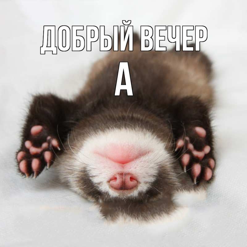 Картинка Добрый вечер, а