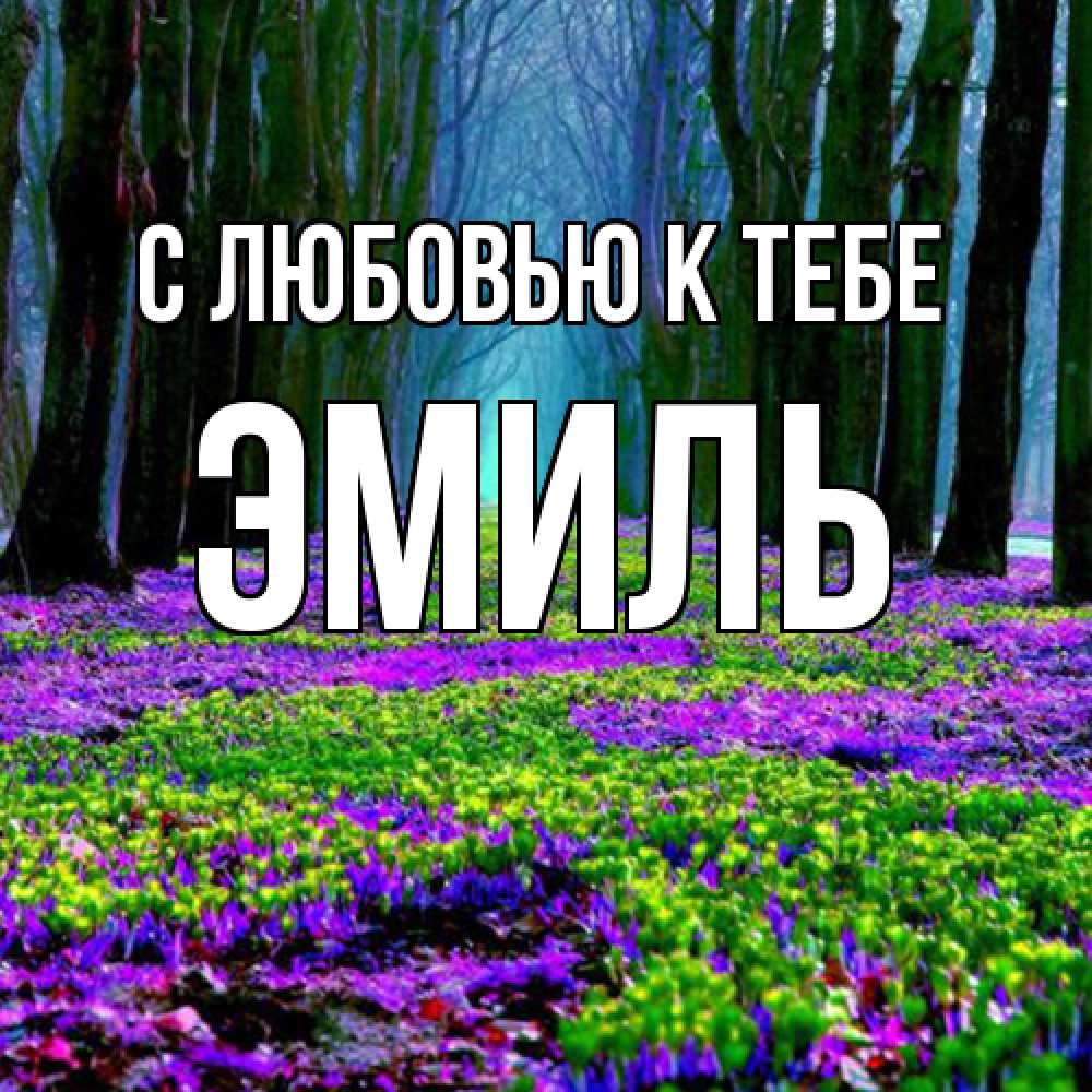Открытка  с именем. Эмиль, С любовью к тебе  