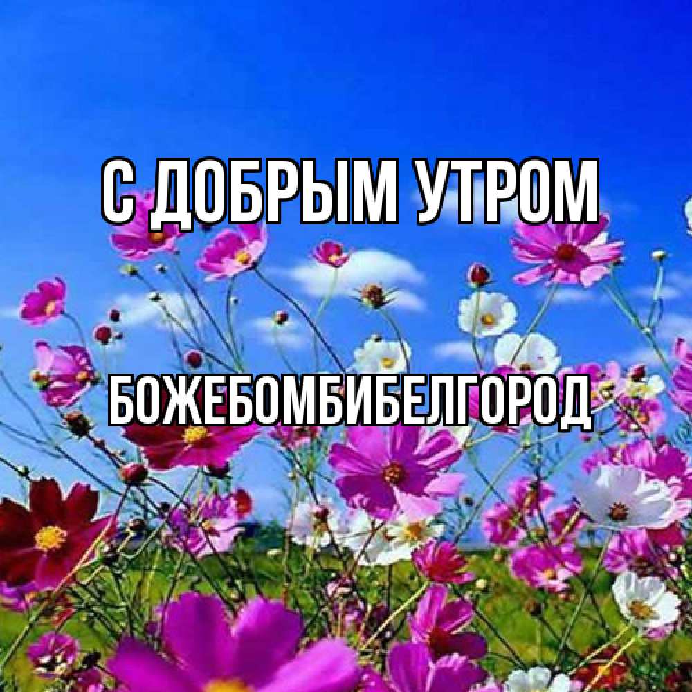 Открытка  с именем. божебомбибелгород, С добрым утром  