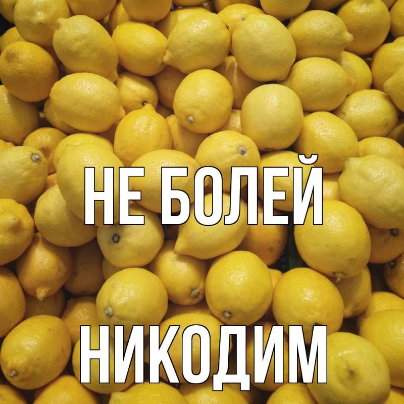 Картинка Не болей, Никодим