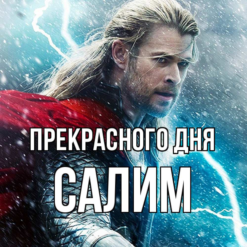 Открытка  с именем. Салим, Прекрасного дня  