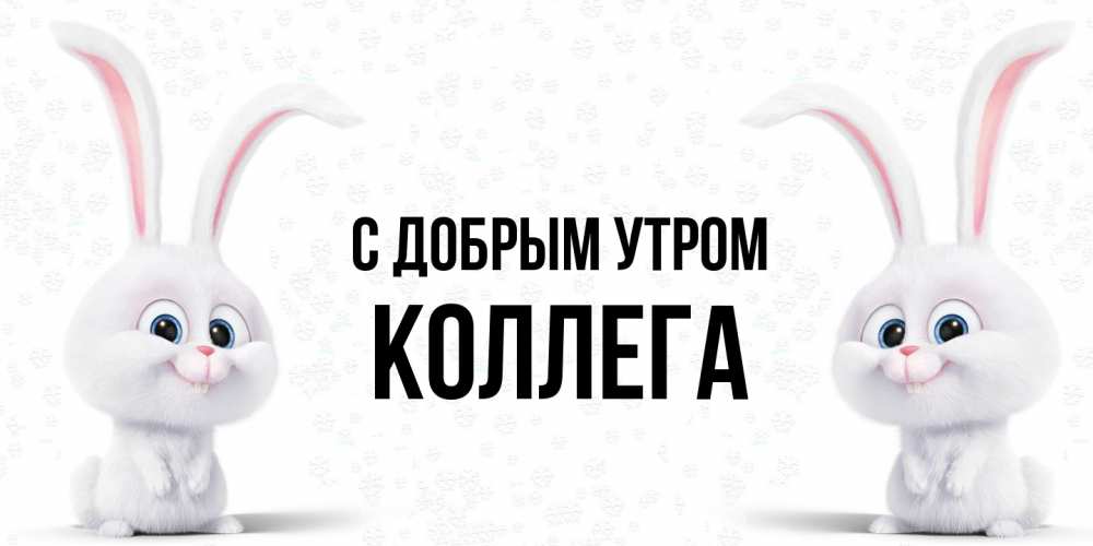 Открытка  с именем. коллега, С добрым утром  
