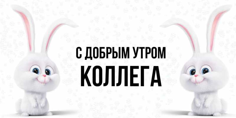 Картинка С добрым утром, коллега
