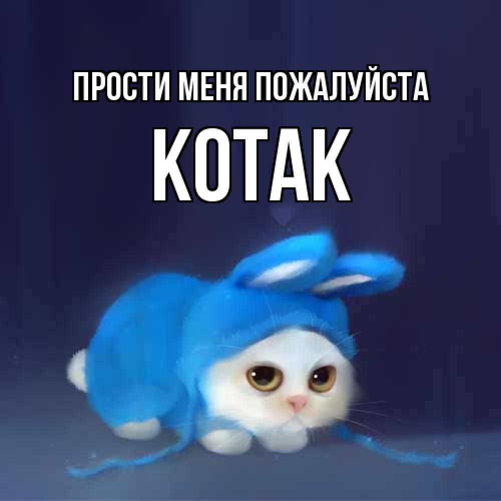 Открытка  с именем. КОТАК, Прости меня пожалуйста  