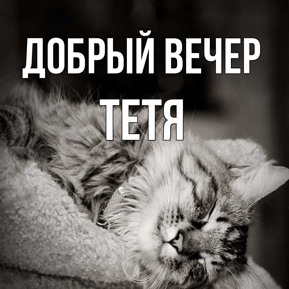 Открытка  с именем. Тетя, Добрый вечер  