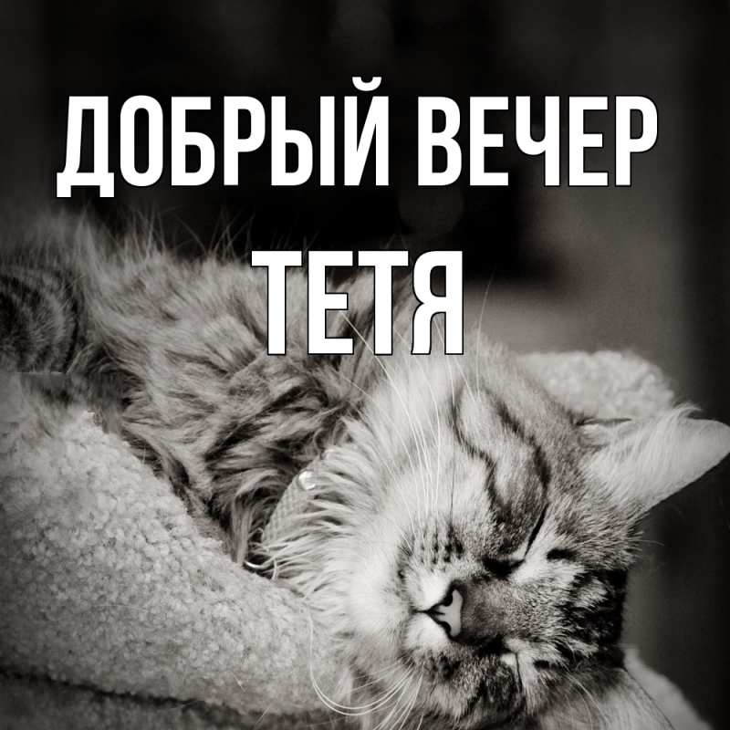 Картинка Добрый вечер, Тетя