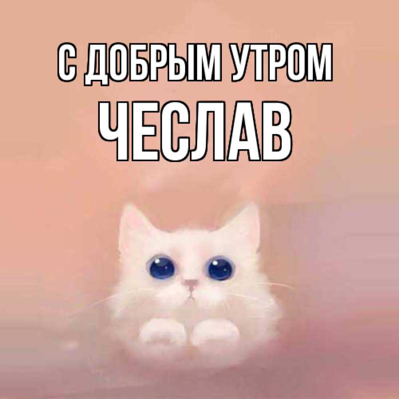 Картинка С добрым утром, Чеслав