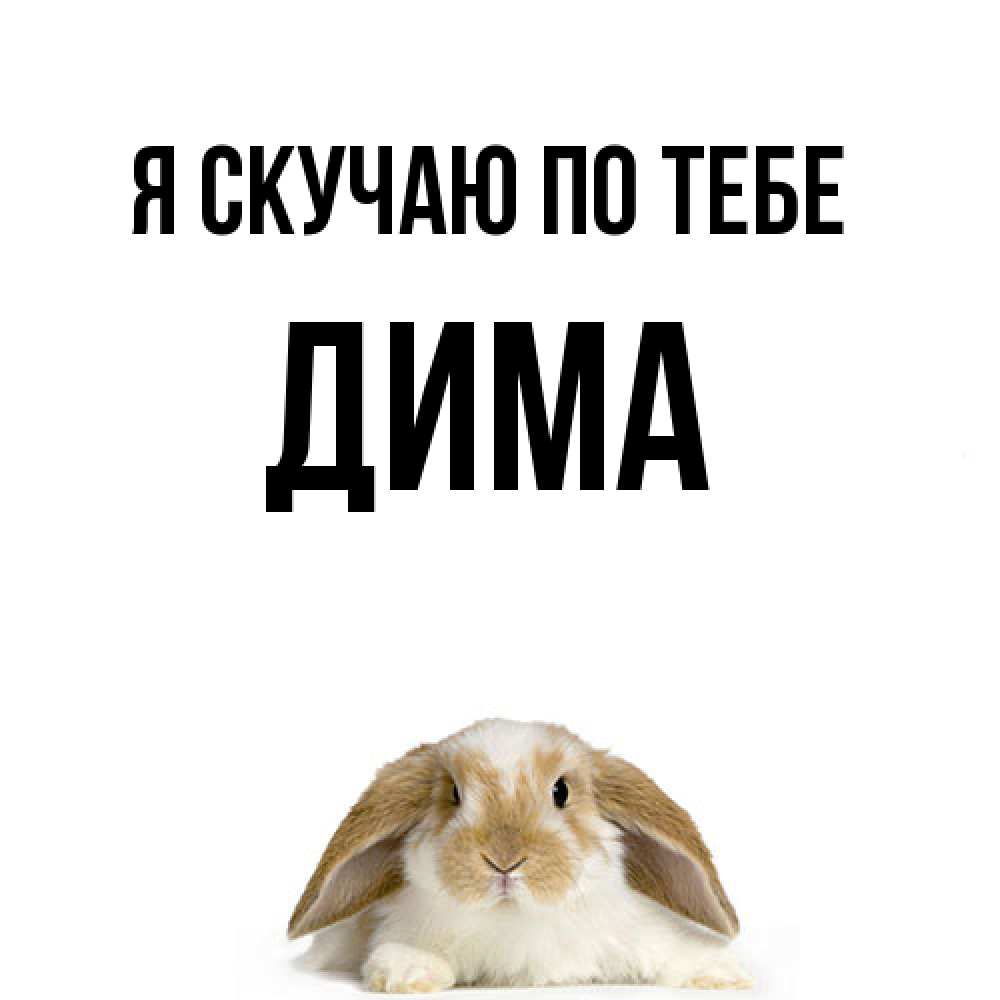 Открытка  с именем. Дима, Я скучаю по тебе  