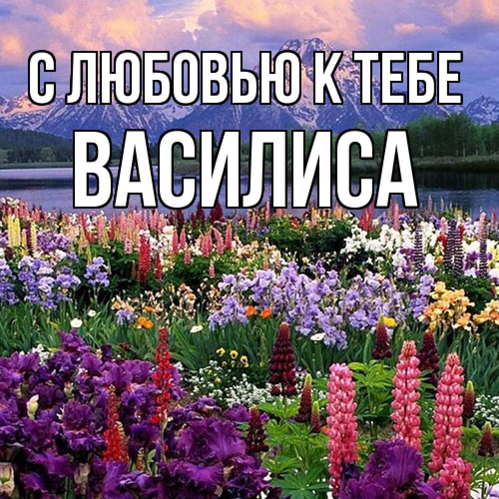 Открытка  с именем. Василиса, С любовью к тебе  