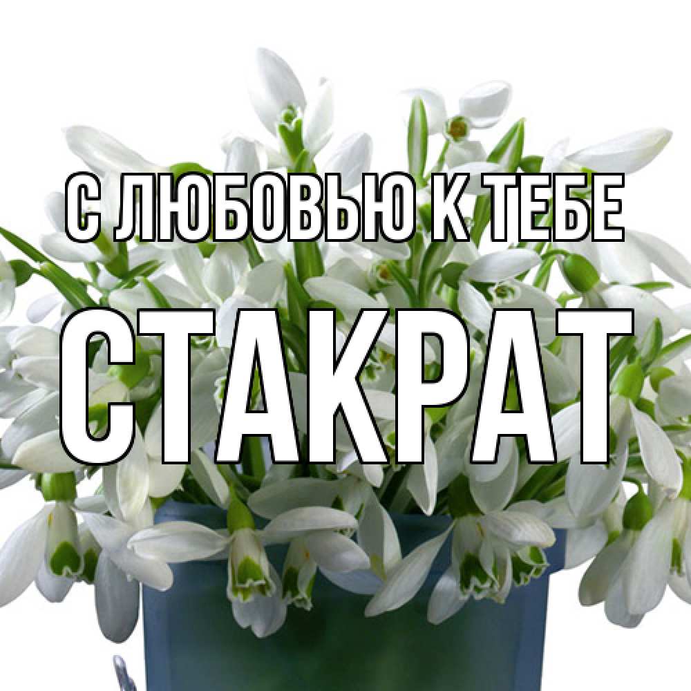 Открытка  с именем. Стакрат, С любовью к тебе  