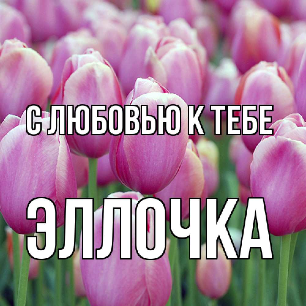 Открытка  с именем. Эллочка, С любовью к тебе  