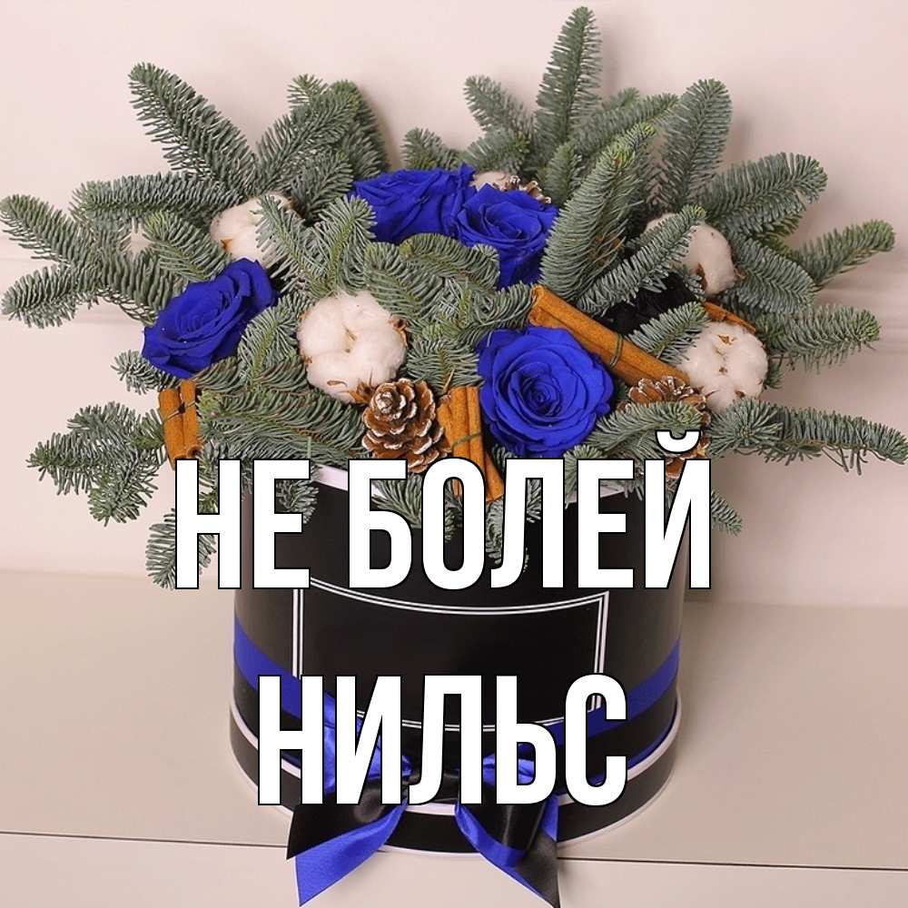 Открытка  с именем. Нильс, Не болей  