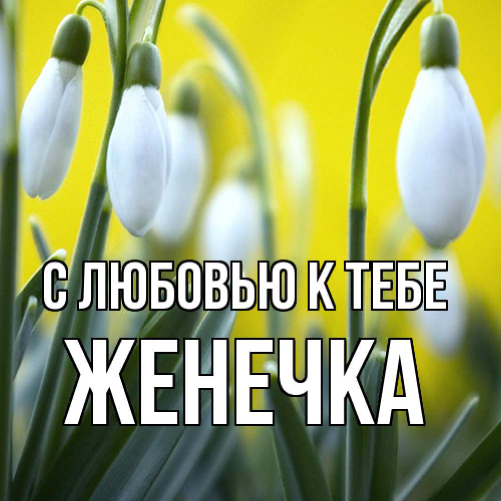 Открытка  с именем. Женечка, С любовью к тебе  