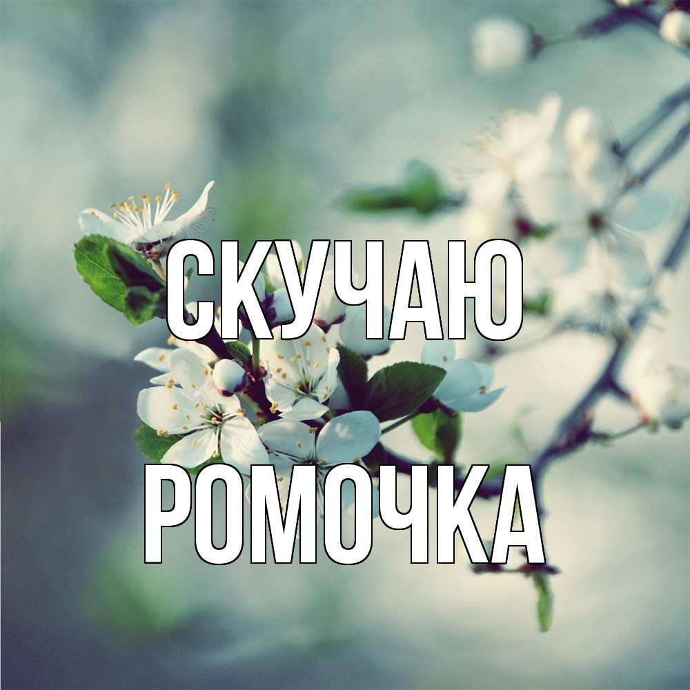 Открытка  с именем. Ромочка, Скучаю  