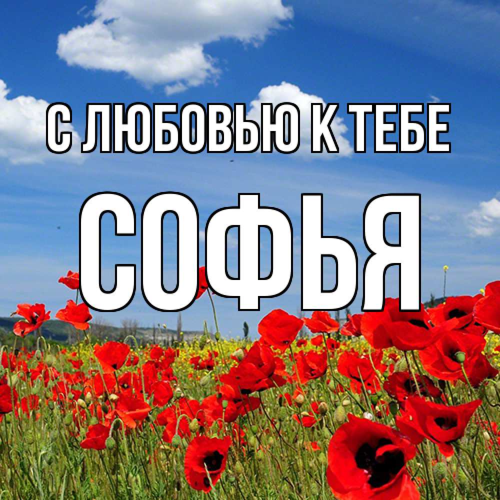 Открытка  с именем. Софья, С любовью к тебе  