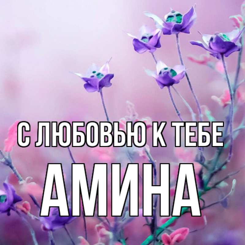 Картинка С любовью к тебе, Амина