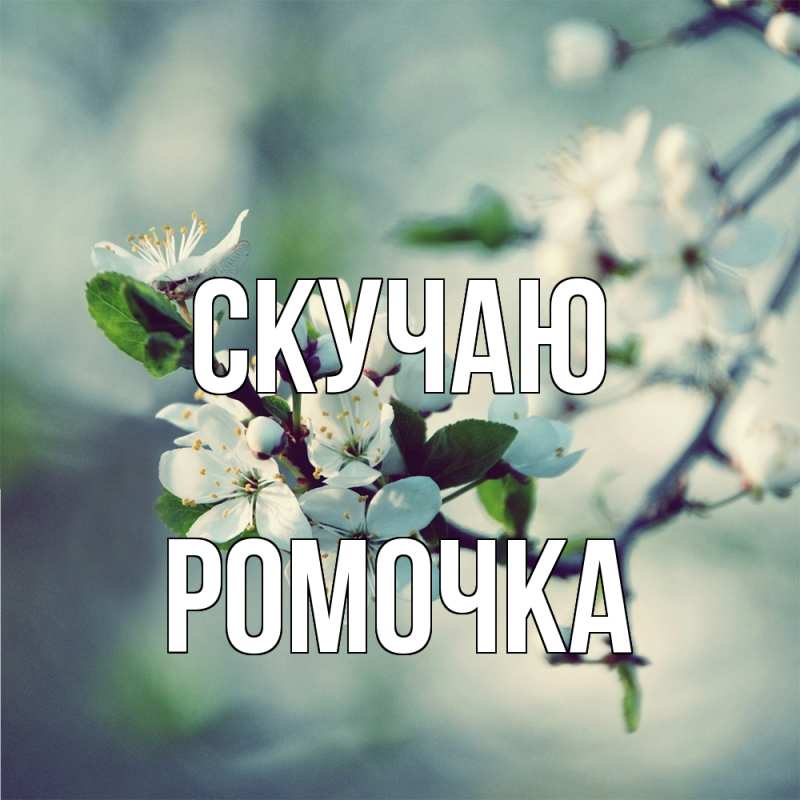 Картинка Скучаю, Ромочка