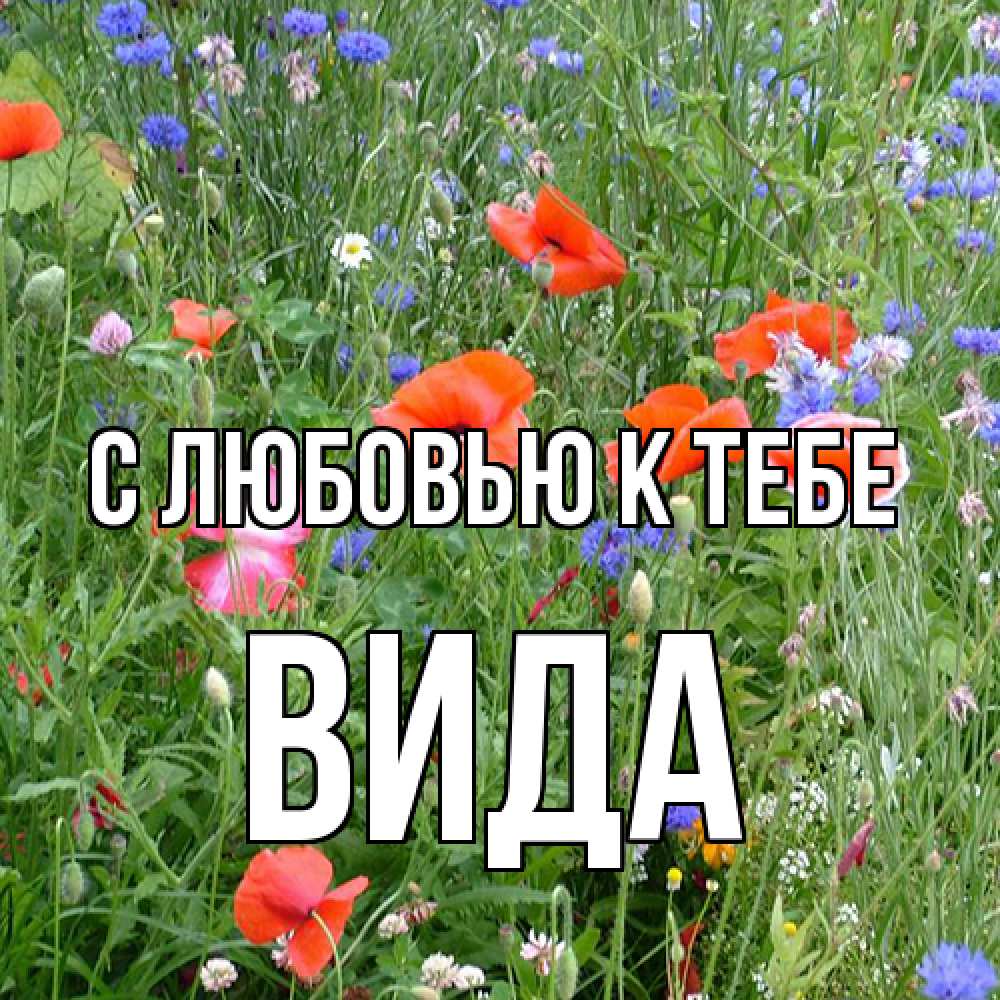 Открытка  с именем. Вида, С любовью к тебе  