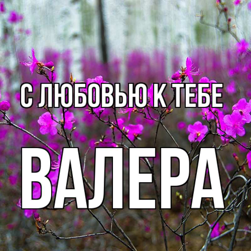 Картинка С любовью к тебе, Валера