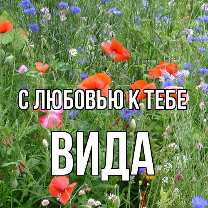 Картинка С любовью к тебе, Вида