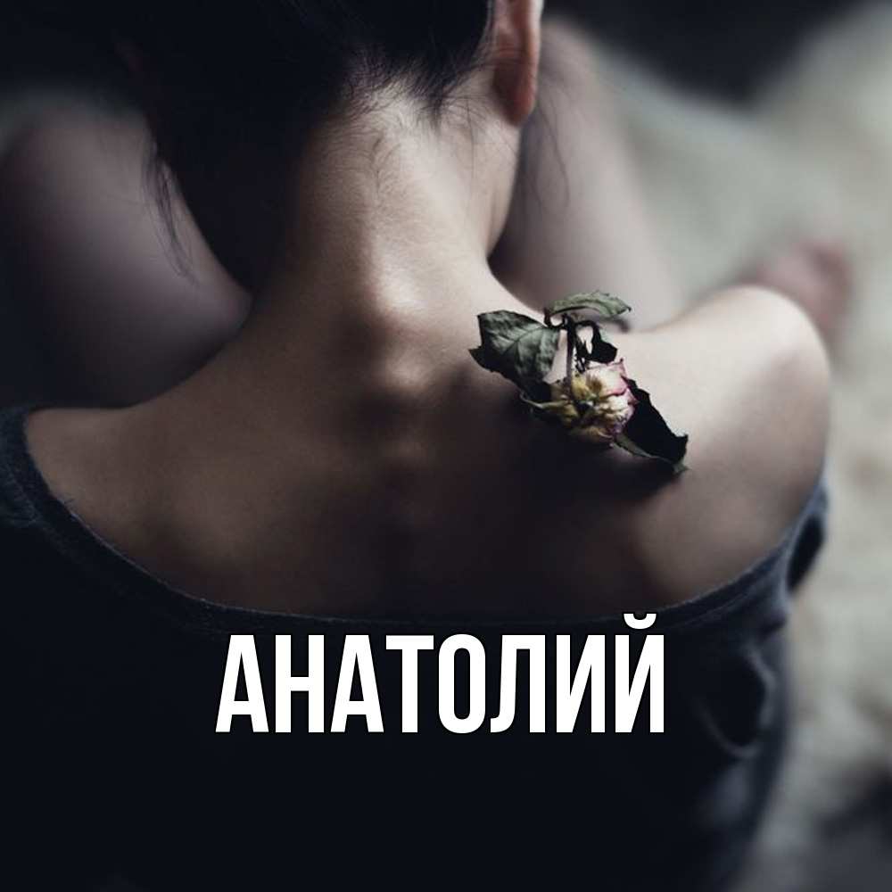 Открытка  с именем. Анатолий, Главная  