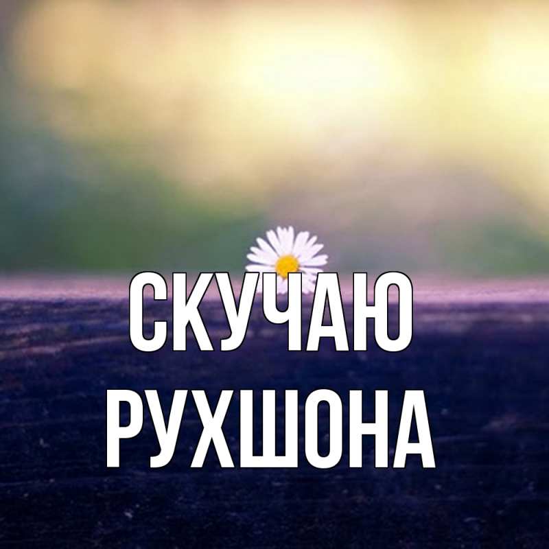Картинка Скучаю, Рухшона