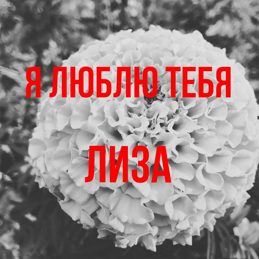 Открытка  с именем. Лиза, Я люблю тебя  