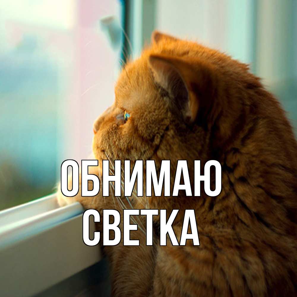 Открытка  с именем. Светка, Обнимаю  