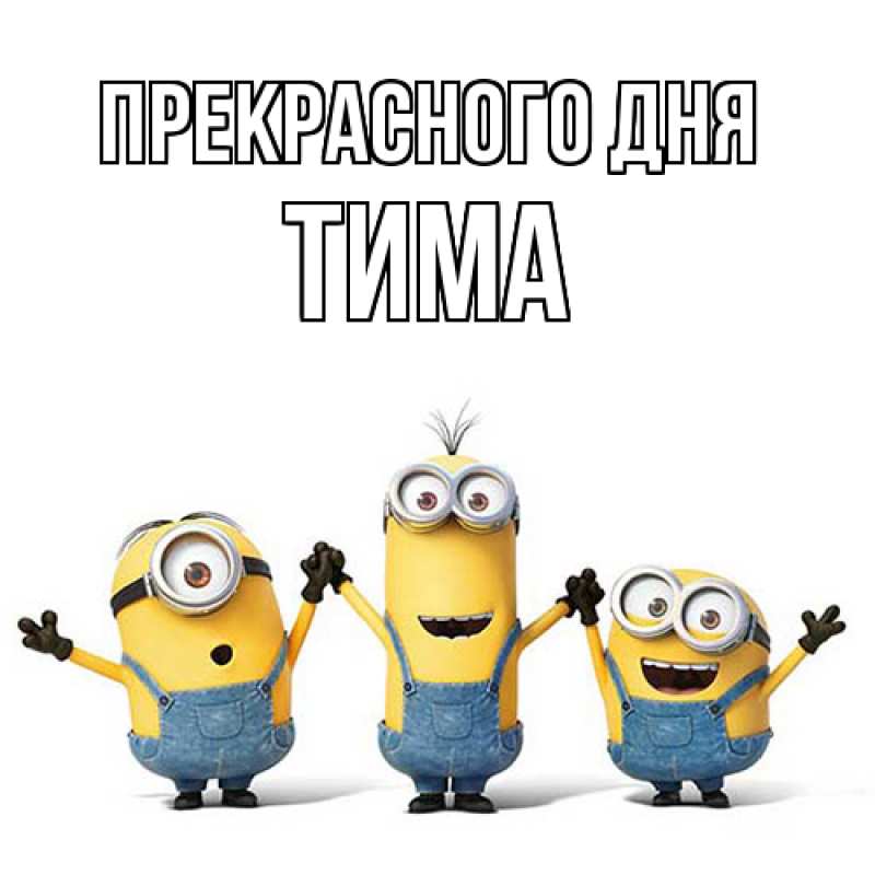 Картинка Прекрасного дня, Тима