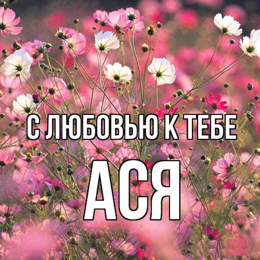 Открытка  с именем. Ася, С любовью к тебе  