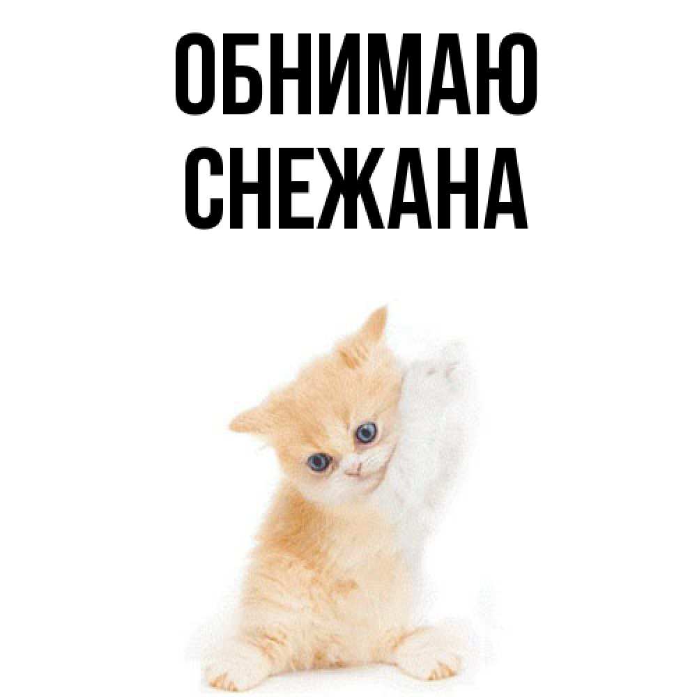 Открытка  с именем. Снежана, Обнимаю  
