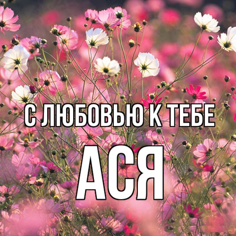 Картинка С любовью к тебе, Ася