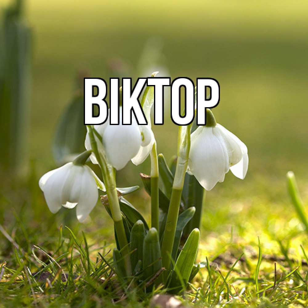 Открытка  с именем. Віктор, Главная  