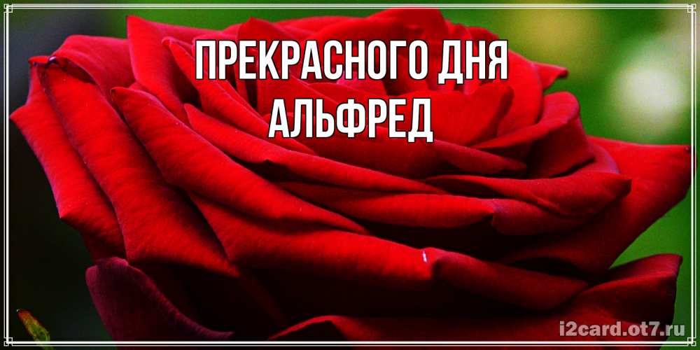 Открытка  с именем. Альфред, Прекрасного дня  
