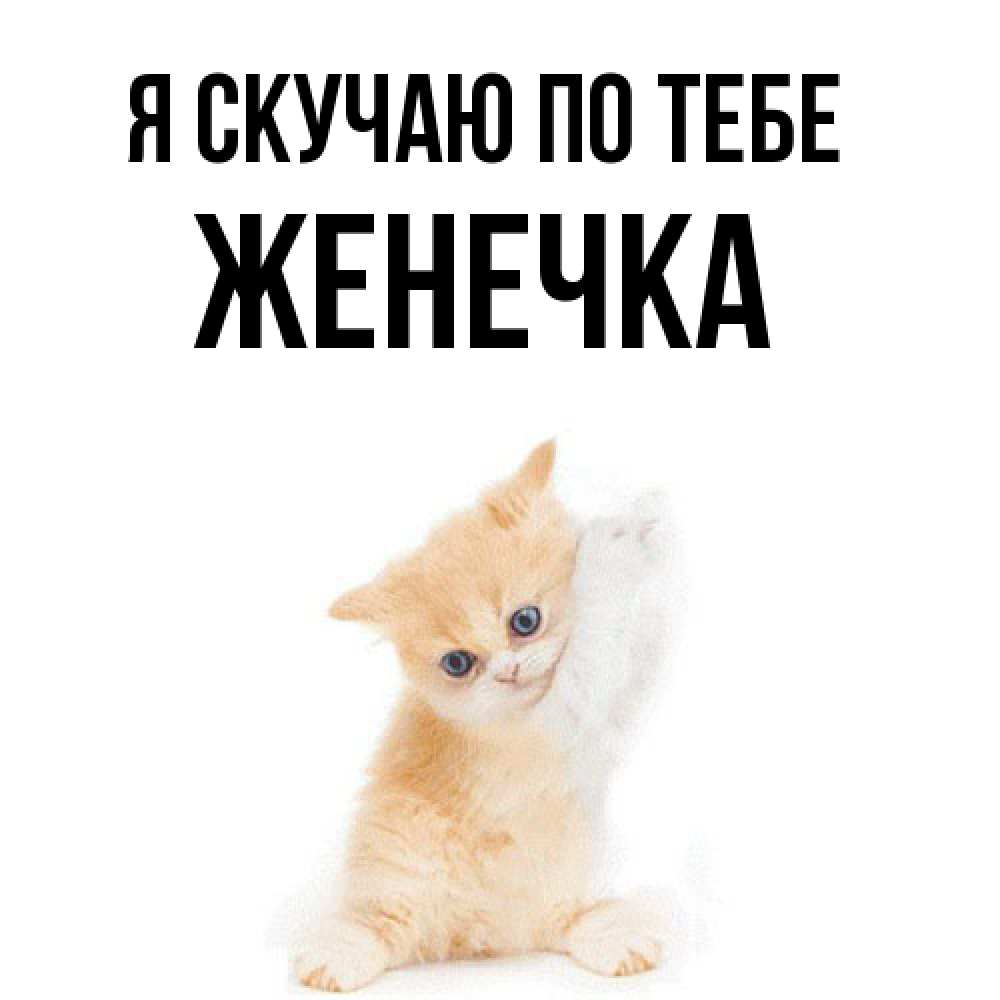Открытка  с именем. Женечка, Я скучаю по тебе  