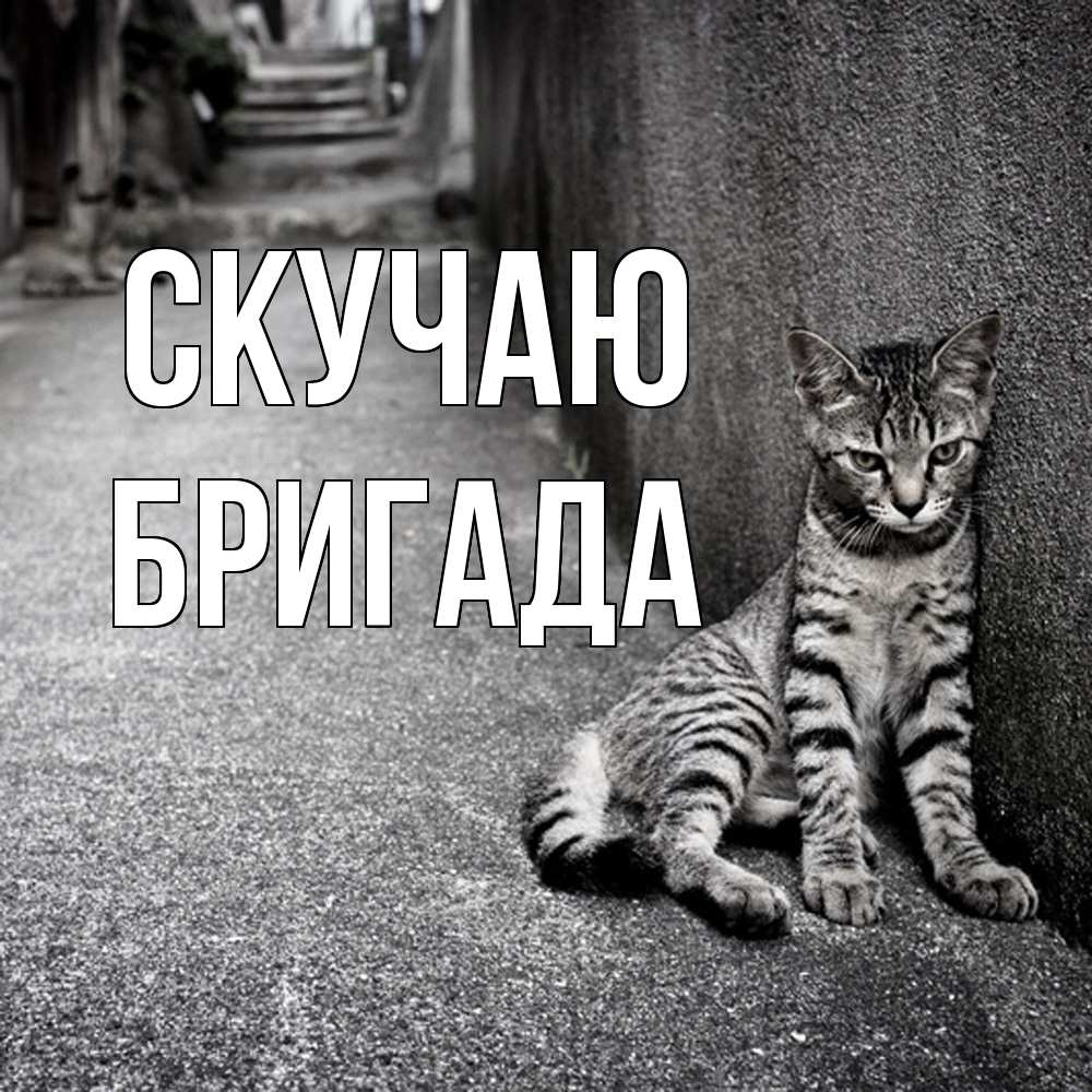 Открытка  с именем. Бригада, Скучаю  