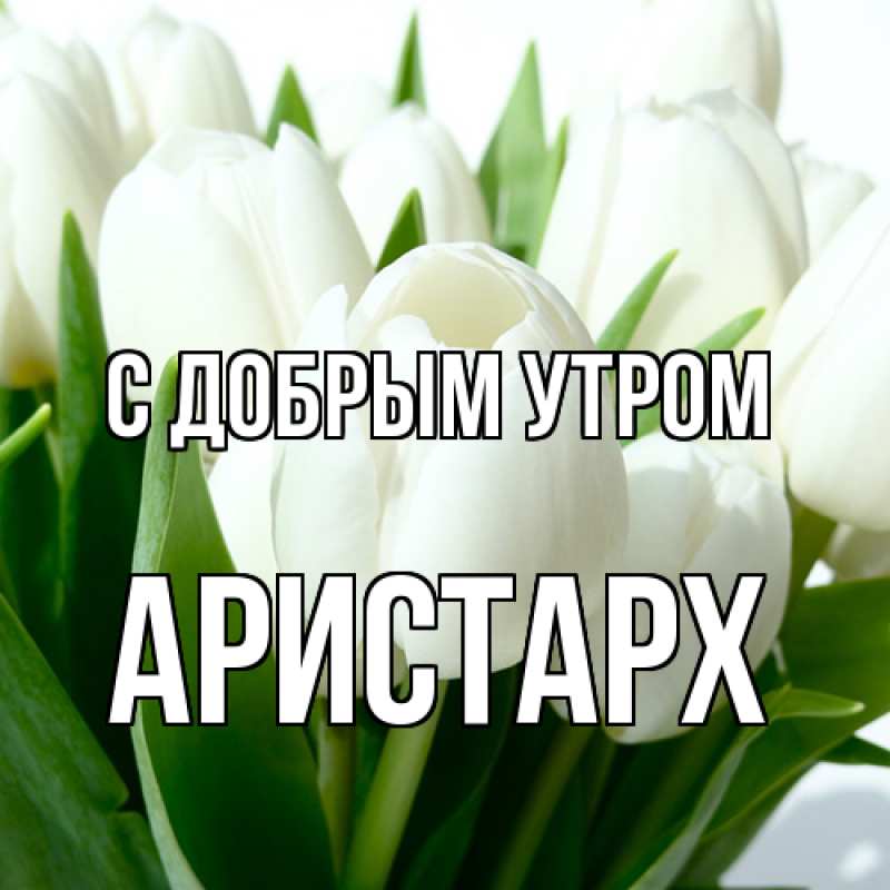 Картинка С добрым утром, Аристарх