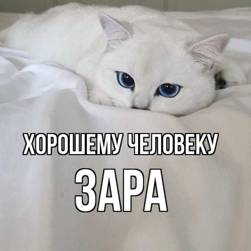 Картинка Хорошему человеку, Зара