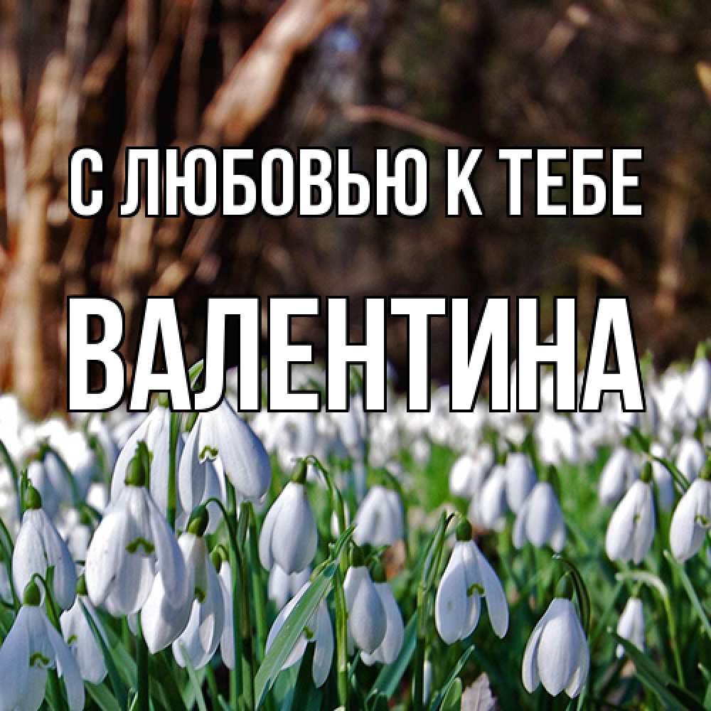 Открытка  с именем. валентина, С любовью к тебе  