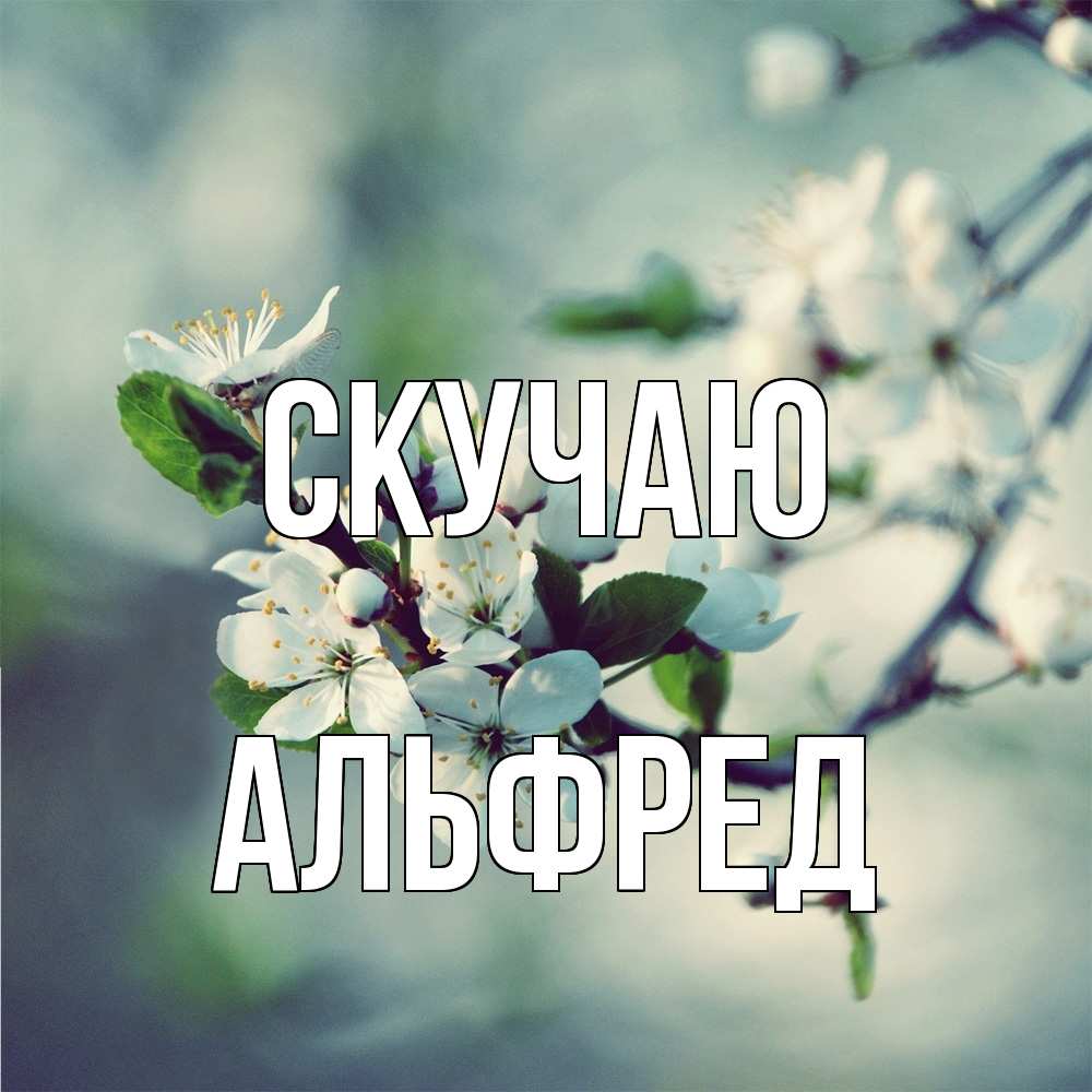 Открытка  с именем. Альфред, Скучаю  