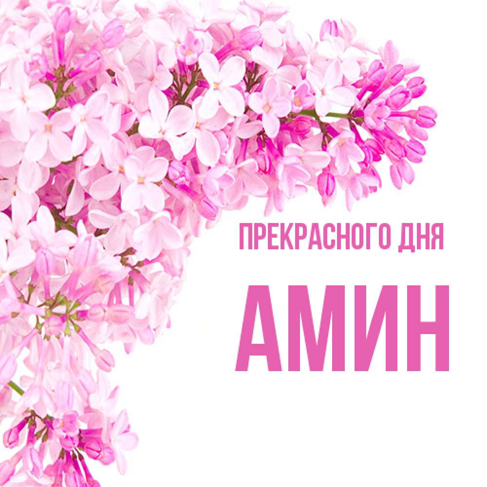 Открытка  с именем. Амин, Прекрасного дня  