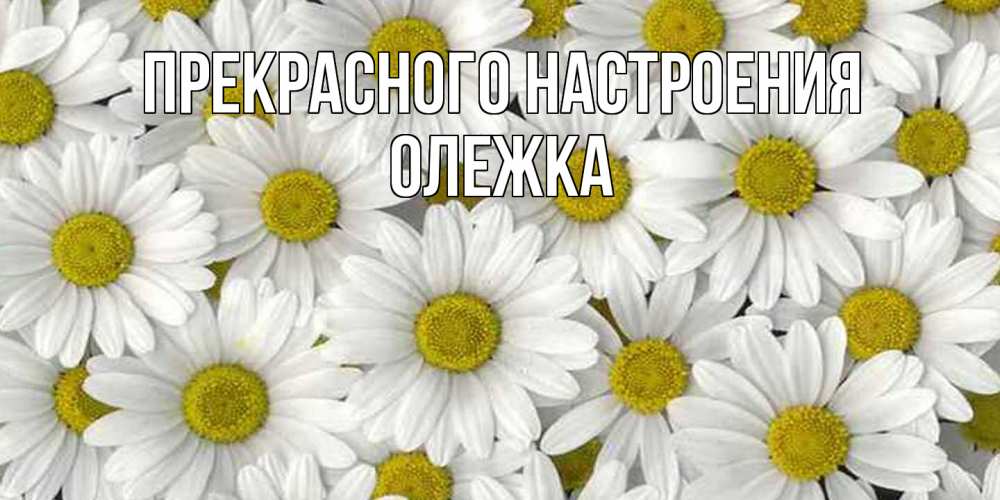 Открытка  с именем. олежка, Прекрасного настроения  