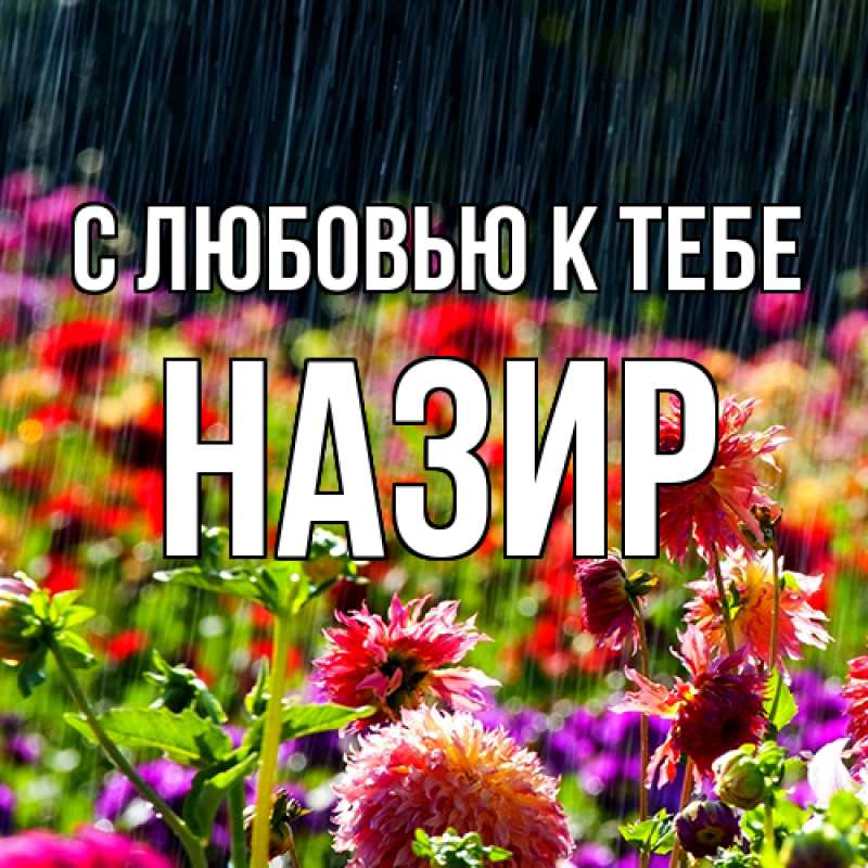 Картинка С любовью к тебе, Назир