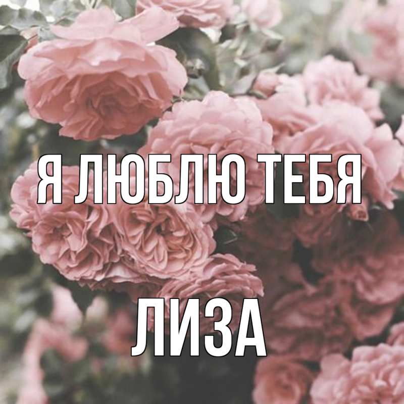 Картинка Я люблю тебя, Лиза