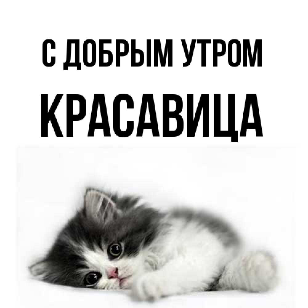 Открытка  с именем. Красавица, С добрым утром  