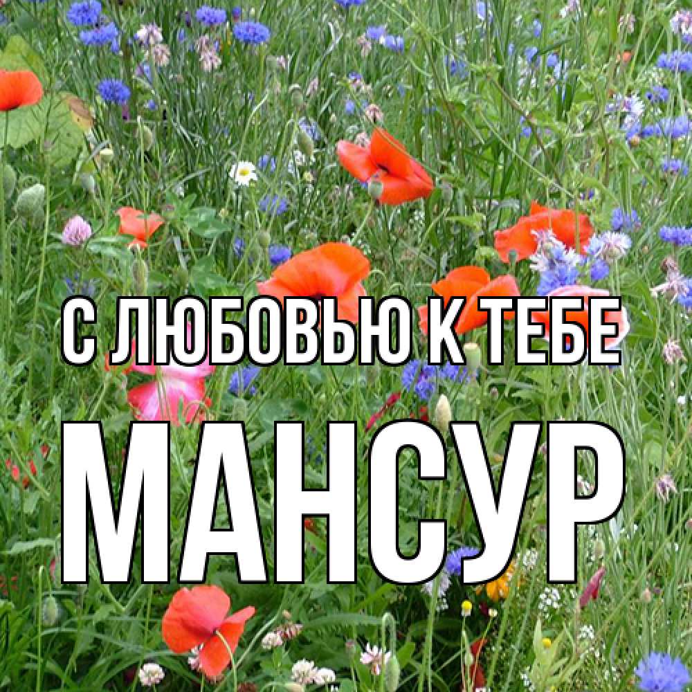 Открытка  с именем. Мансур, С любовью к тебе  