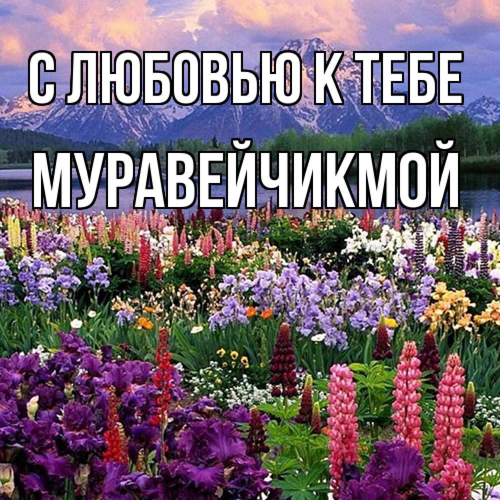 Открытка  с именем. Муравейчикмой, С любовью к тебе  